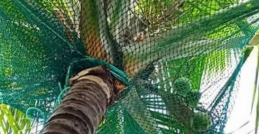 SAFETY NETS IN BENGALURU
